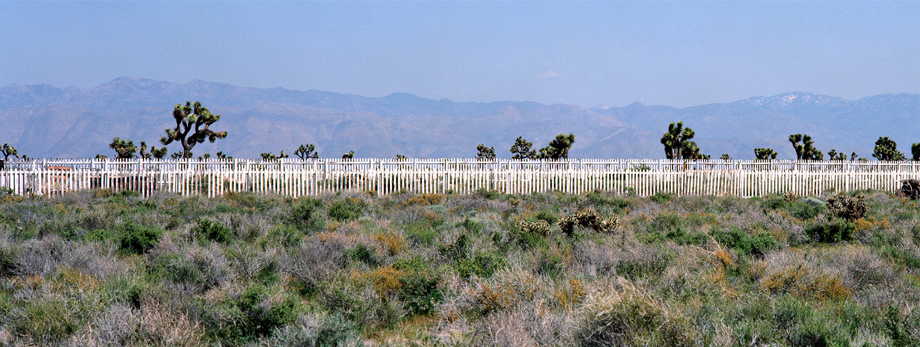 Web-Lanscape-Final-Edit-4-13-08013-DUP.jpg